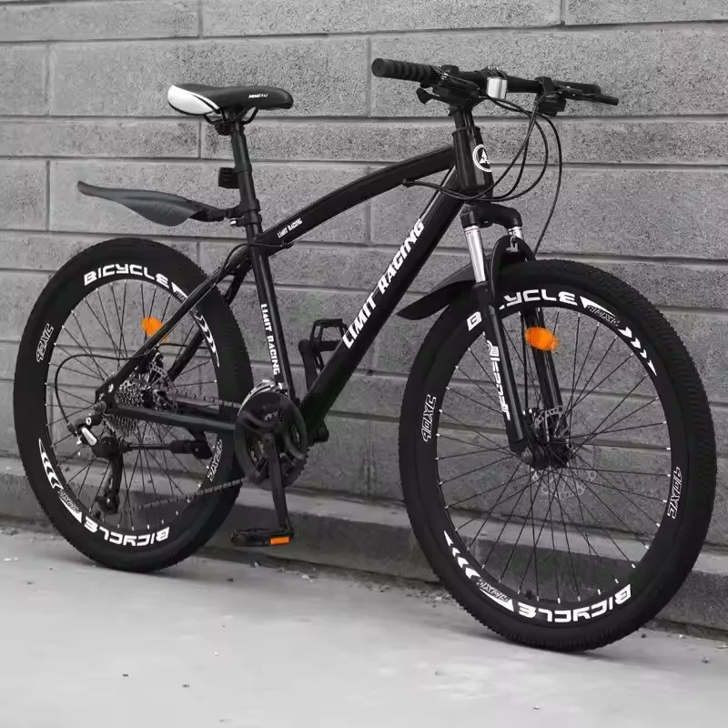 12 Speed Mountain Bike Adult Bike 29 Softail MTB Enduro Bicicleta Full  Suspension Bicycle Lightweight Dirt Bike