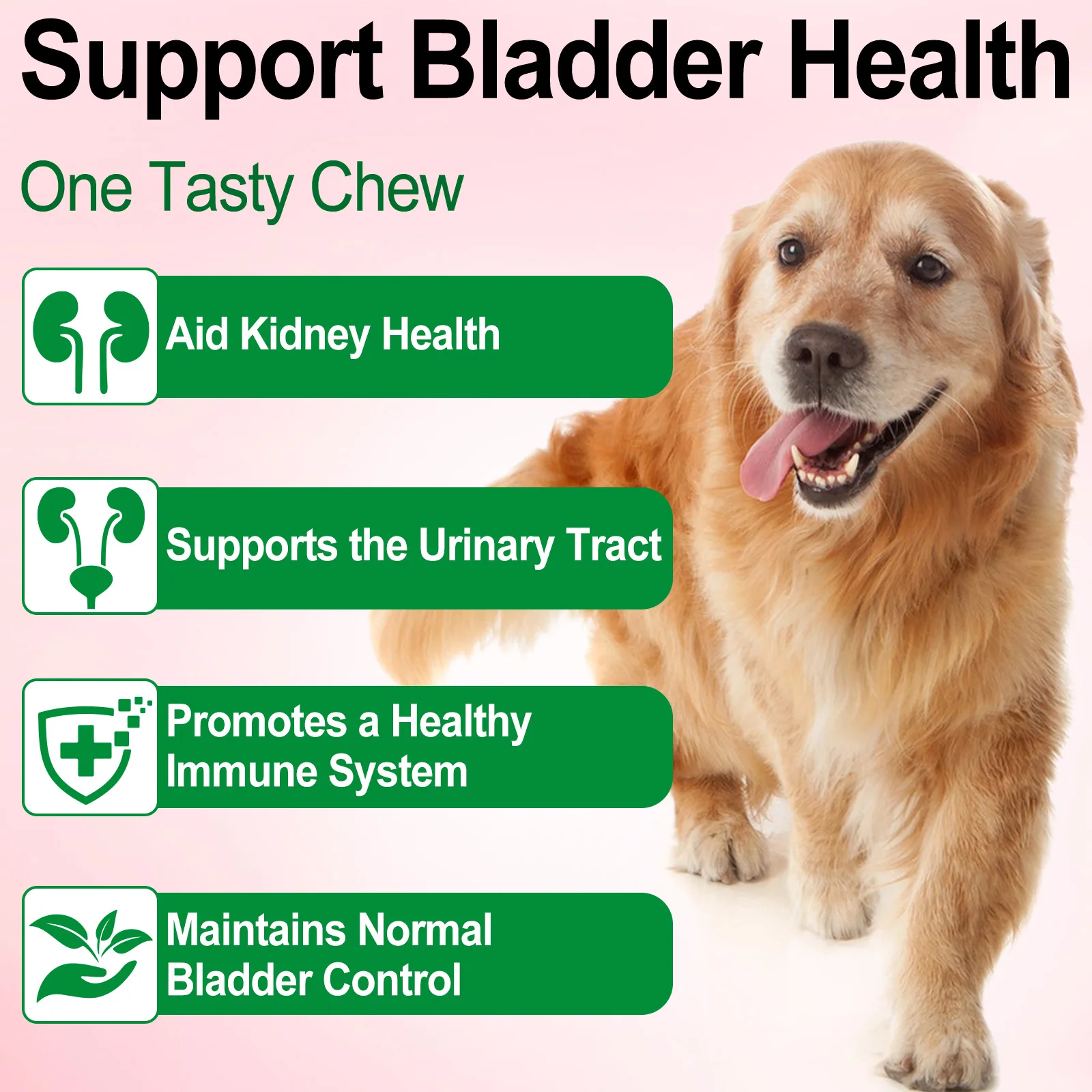 Oimmal Natural Dog Urinary Tract Infection Treatment Bladder Support