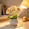 White A