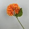 Orange 182 film hydrangea