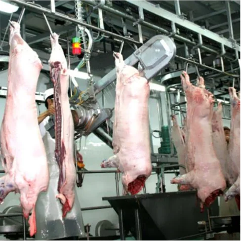Automatic complete pork slaughtering line equipment for modern pork processing plant