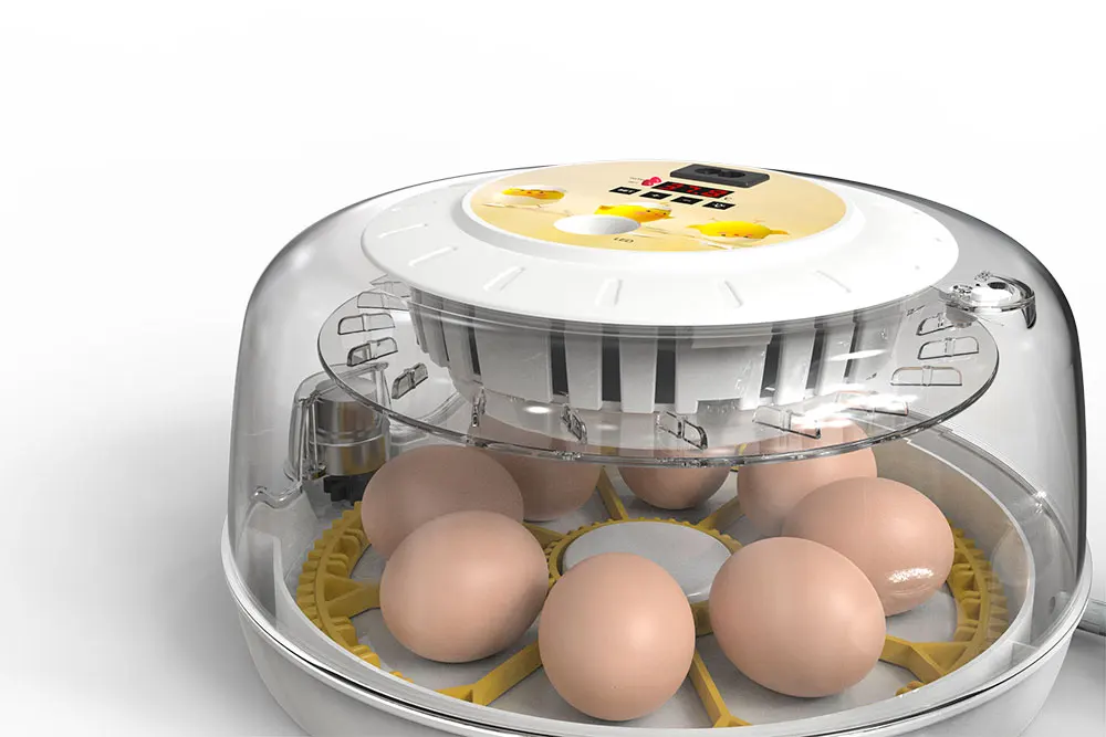 Automatic 18 Pcs Inqubator Egg Incubator Machine Chicken Farm Equipment Chicken Brooder Incubators for Hatching Chicken Birds Eg