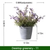 Floración de Lavanda Morado Suave de 0.98 pies con Juego de Maceta Cónica Gris