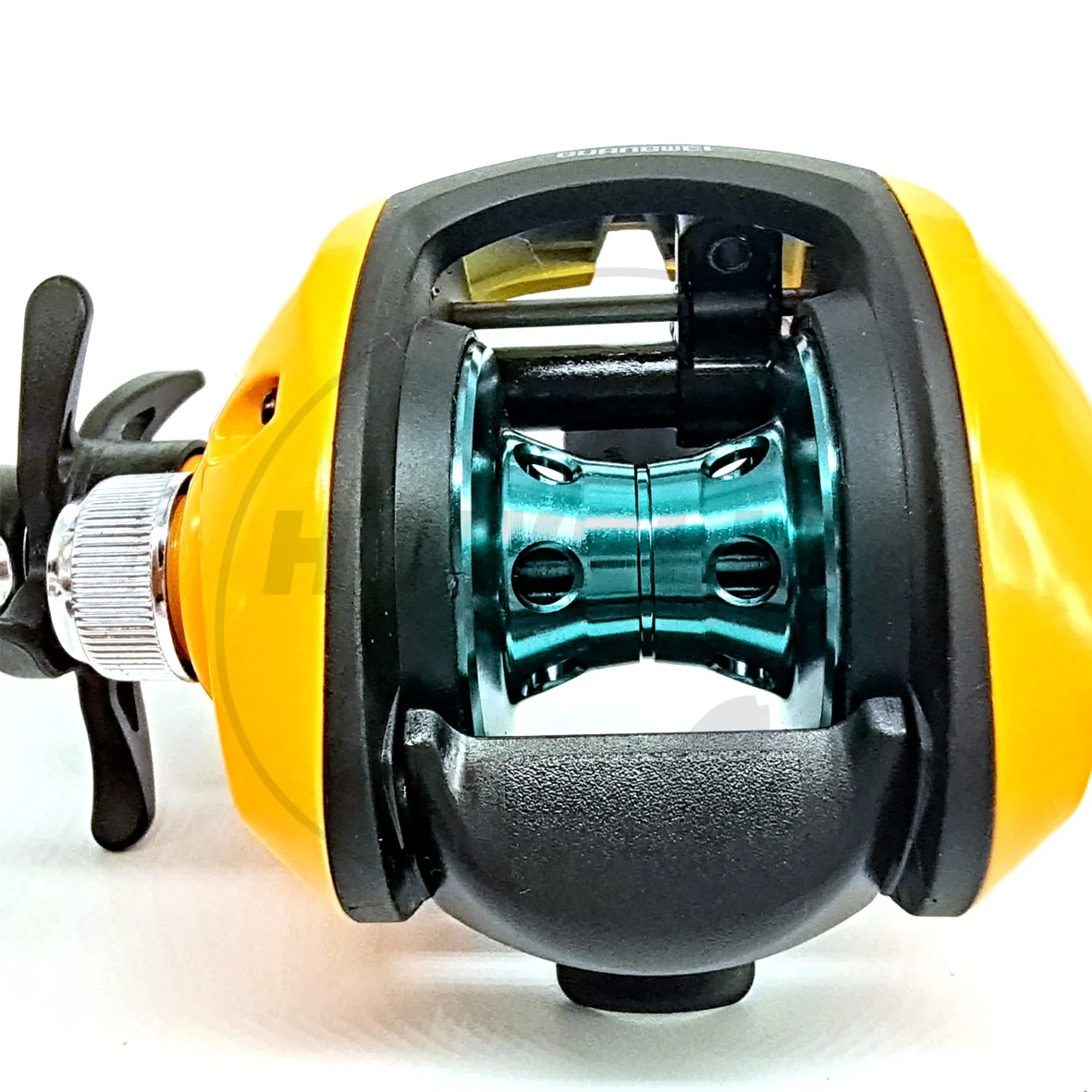 Duale Brake Bait Casting Fishing Reel 6.1:1 Gear Ratio, 120YDS for Carp  Fishing, Suitable for Lake & Ocean Beach Use