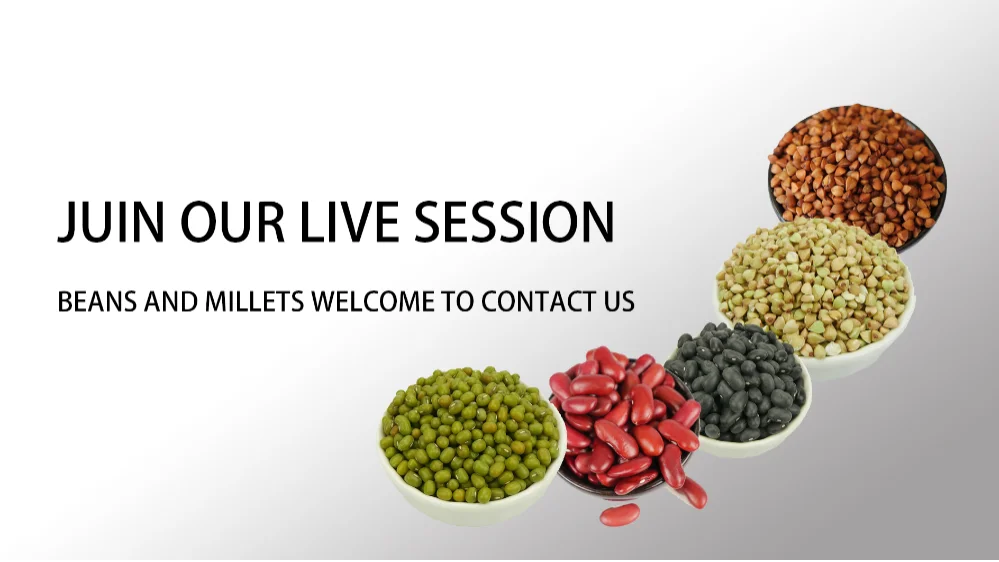 Heddb216cc21e4c4bbc9ec97f861d1c78d Jpg