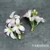 ดอกกล้วยไม้ - สีชมพู