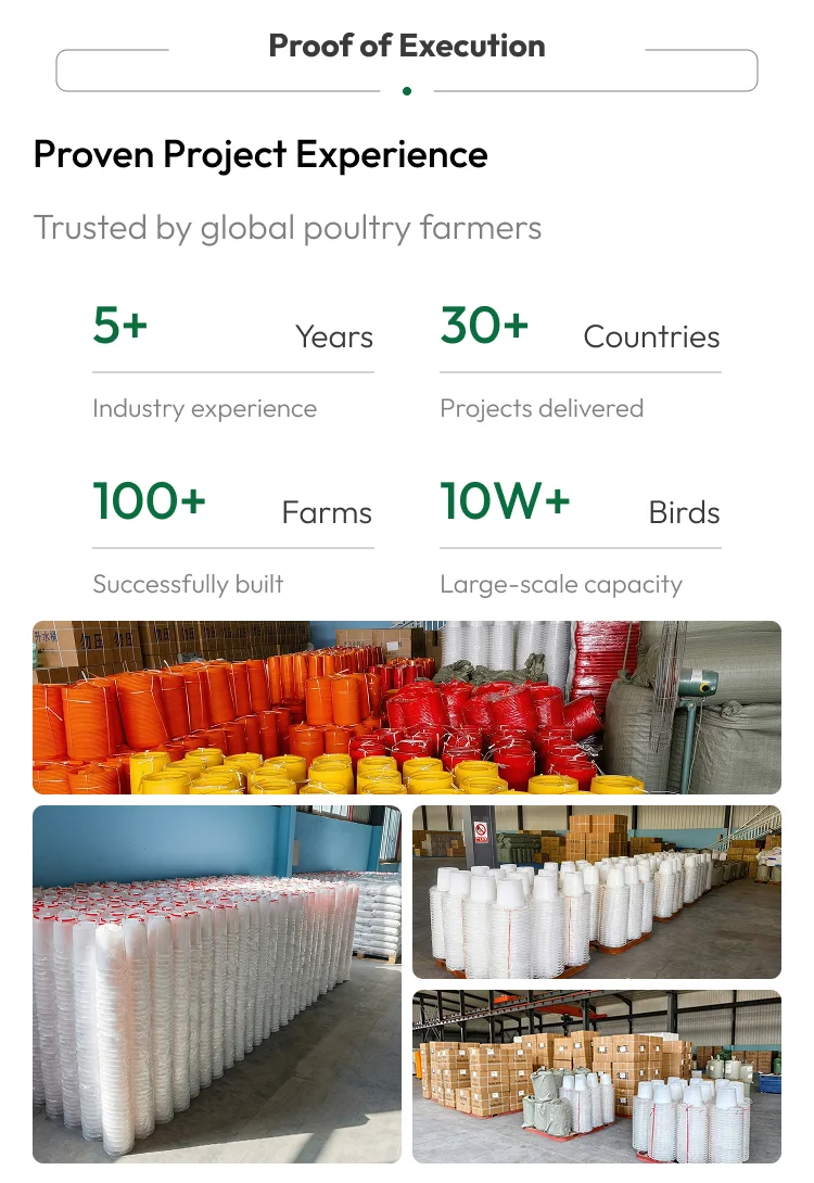 Automatic Poultry Feeding Line