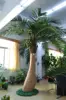Custom coconut tree