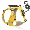 Yellow harness  leash set