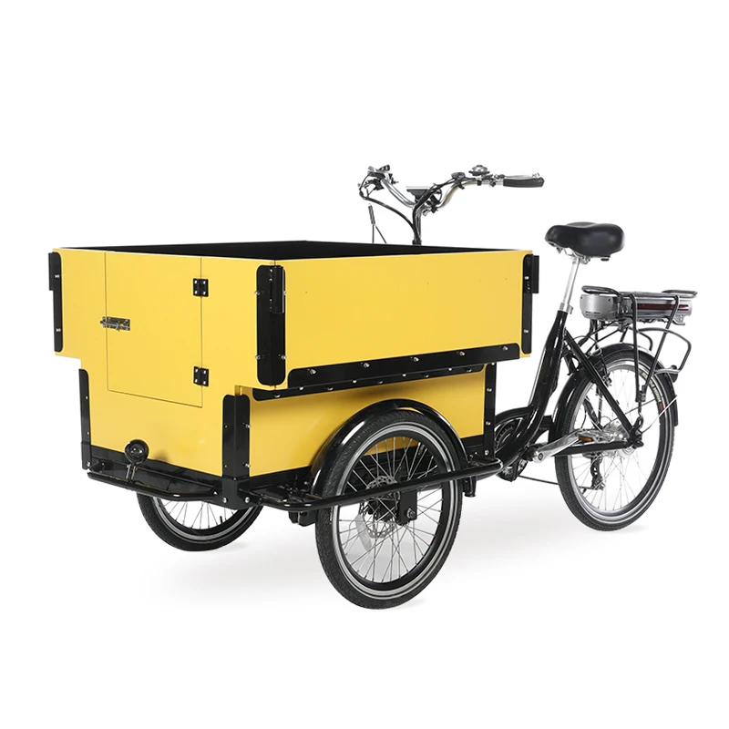 レトロ欧風3輪電動貨物自転車、前荷台付き・子供やペット用