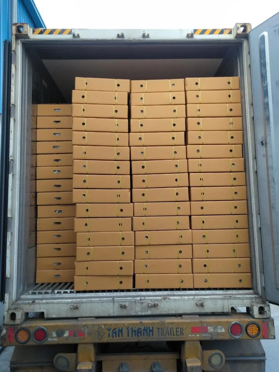 Fresh Coconut Cut Cones Shape/ Coconut Tender/ Green Young Coconut From