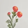 rosso arancio