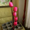 Rojo rosa