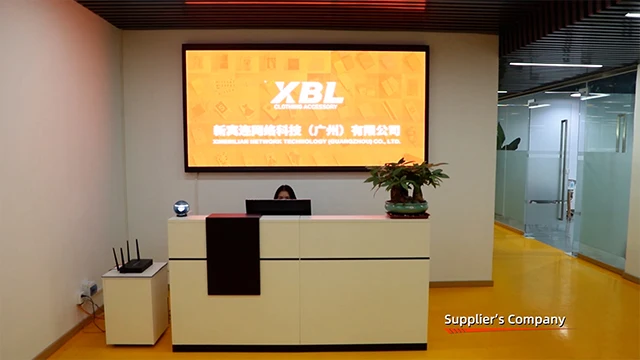 Company Overview - Xinbinlian Network Technology (Guangzhou) Co., Ltd.