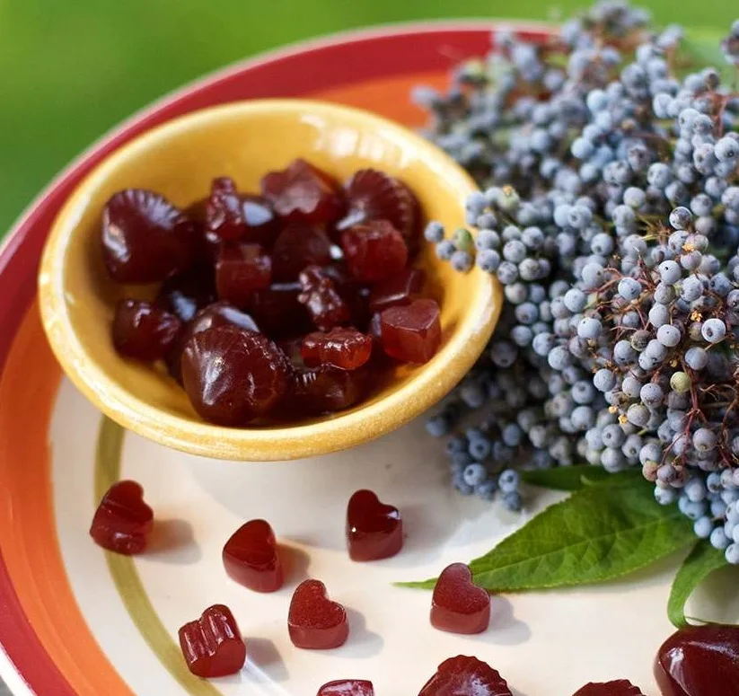 Pectin Elderberry Gummies Oem Buy Elderberry Gummy,Oem Elderberry