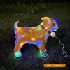 Led Colorful Corgi