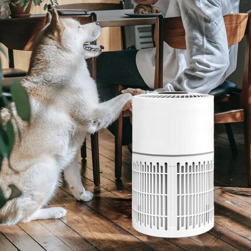 máy lọc không khí hoạt động như thế nào trong ngôi nhà của bạn