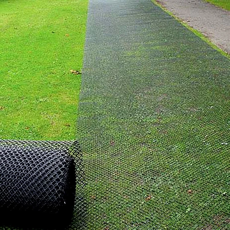 HDPE Plastic Composite Geonet Grass Grid Modern Turf Reinforcement Mesh for Parks Earthwork Outdoor Greening for Parks Gardens