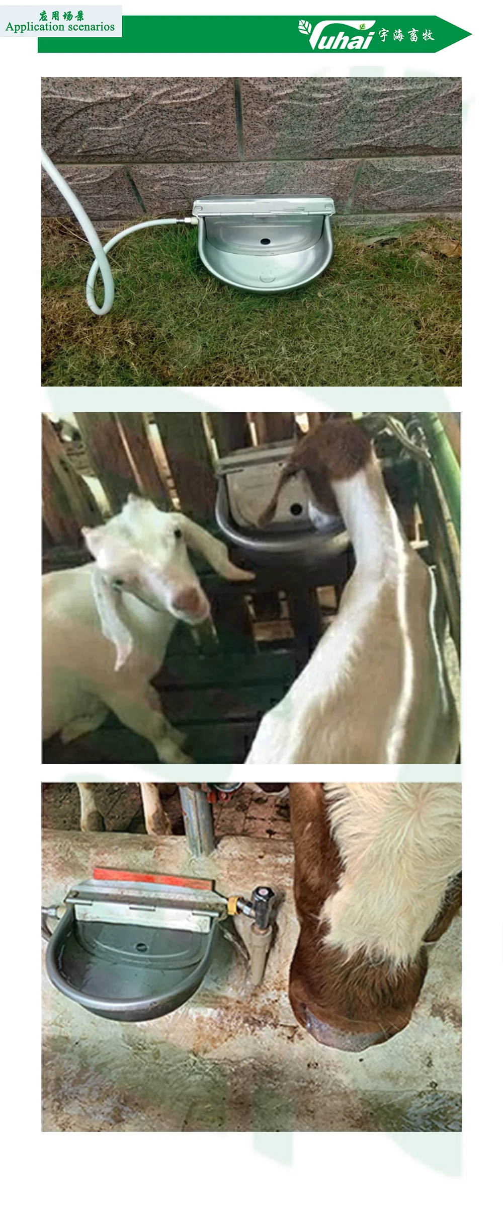 product china product animal stainless steel water bottle with floating ball flat tongue automatic cow drinking water bowl-2