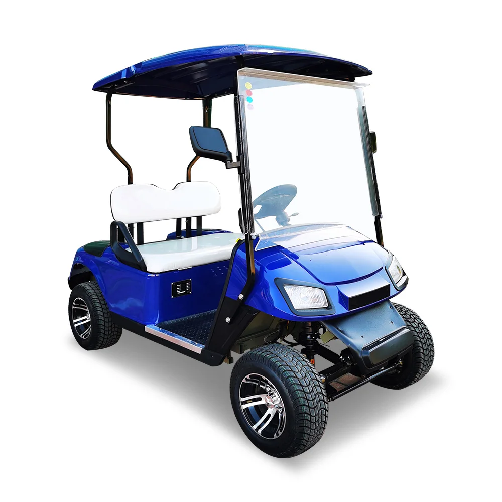 2 Passengers Electric Golf Cart Brand New Design Factory Sightseeing