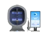 สีเทา