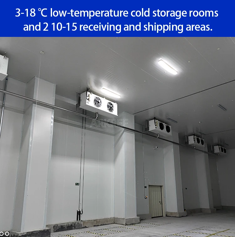 Industrial Freezer Room Blast Freezer Container Walk In Refrigeration ...