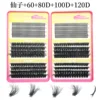 24 rows 60D+80D+100D+120D