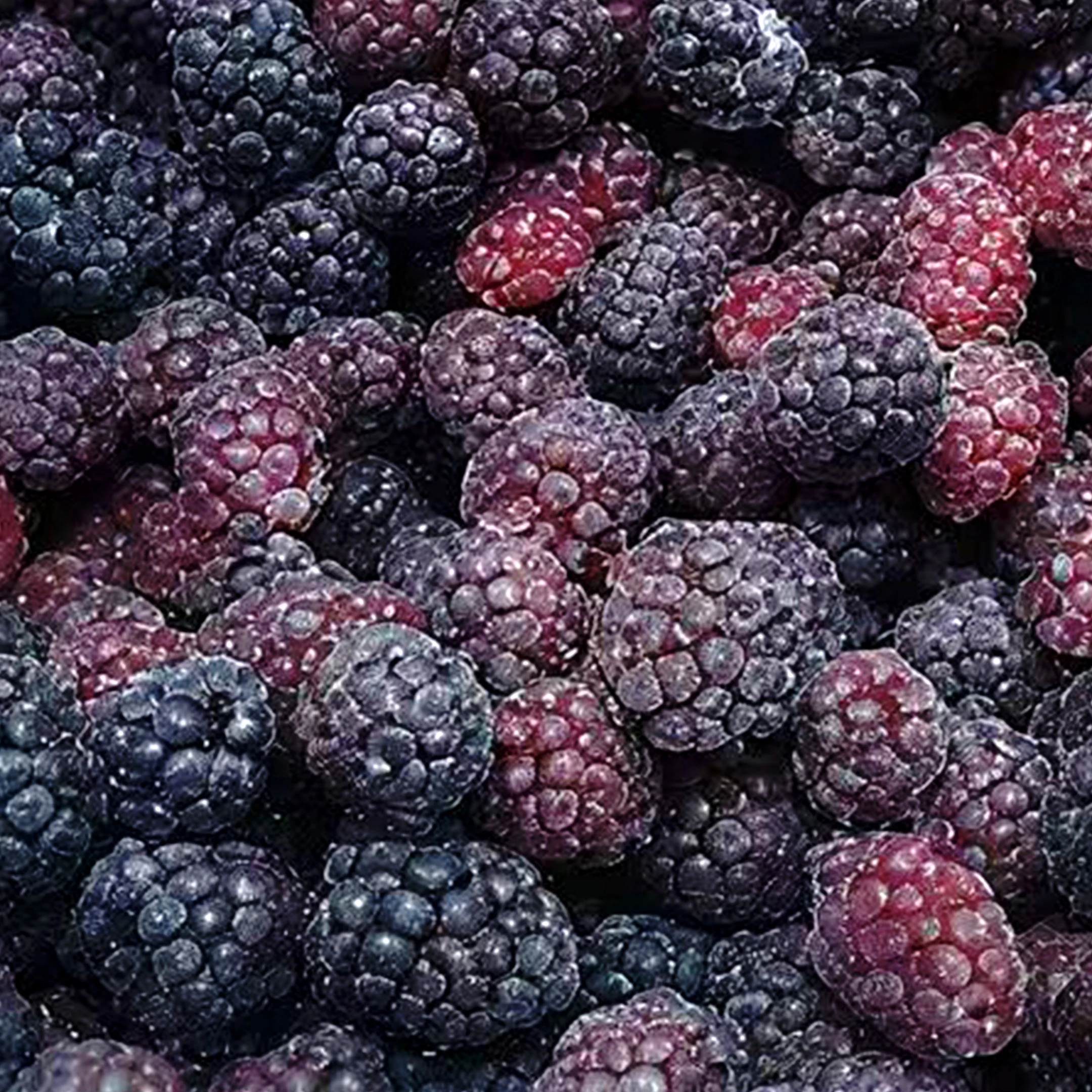 Yüksək Keyfiyyətli Dondurulmuş Qarağat IQF Qarağat Meyvələri Toptan Satış Qiyməti Partiyası Təzə IQF Dondurulmuş Qidalanma Qarağat