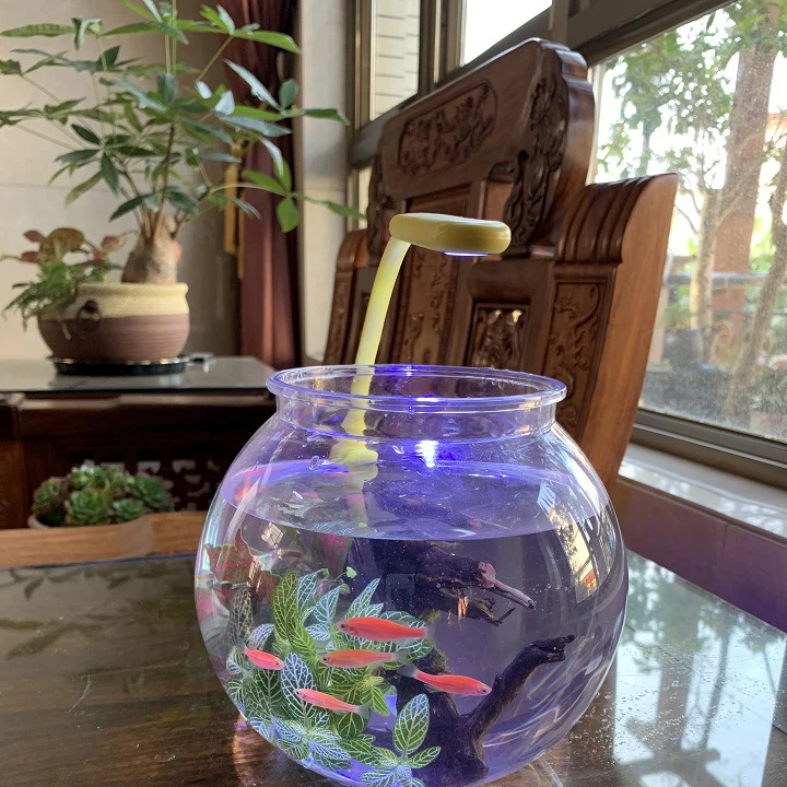 Pet Shatterproof Round Shape Extra Large Plastic Fish Bowl Buy Large