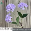3-headed hydrangea XK Light Purple