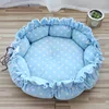 Light blue starry sky