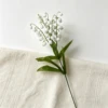 5 Giglio biforcuto - Bianco