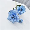 Blu-chiaro