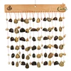16*6 conchas