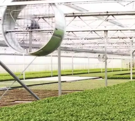 Nft Gutter System Hydroponics Strawberry Gutter Greenhouse Indoor Strawberry Production