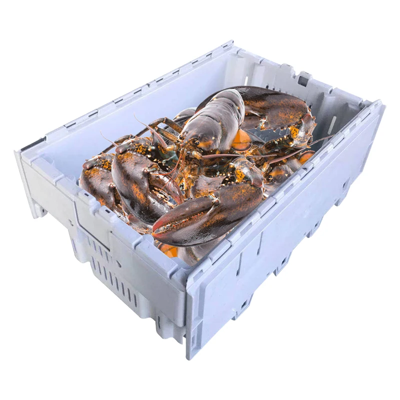 Wholesale Vented Mesh Stackable and Nestable pp Crab Storage Seafood Plastic Lobster Crates for Sale