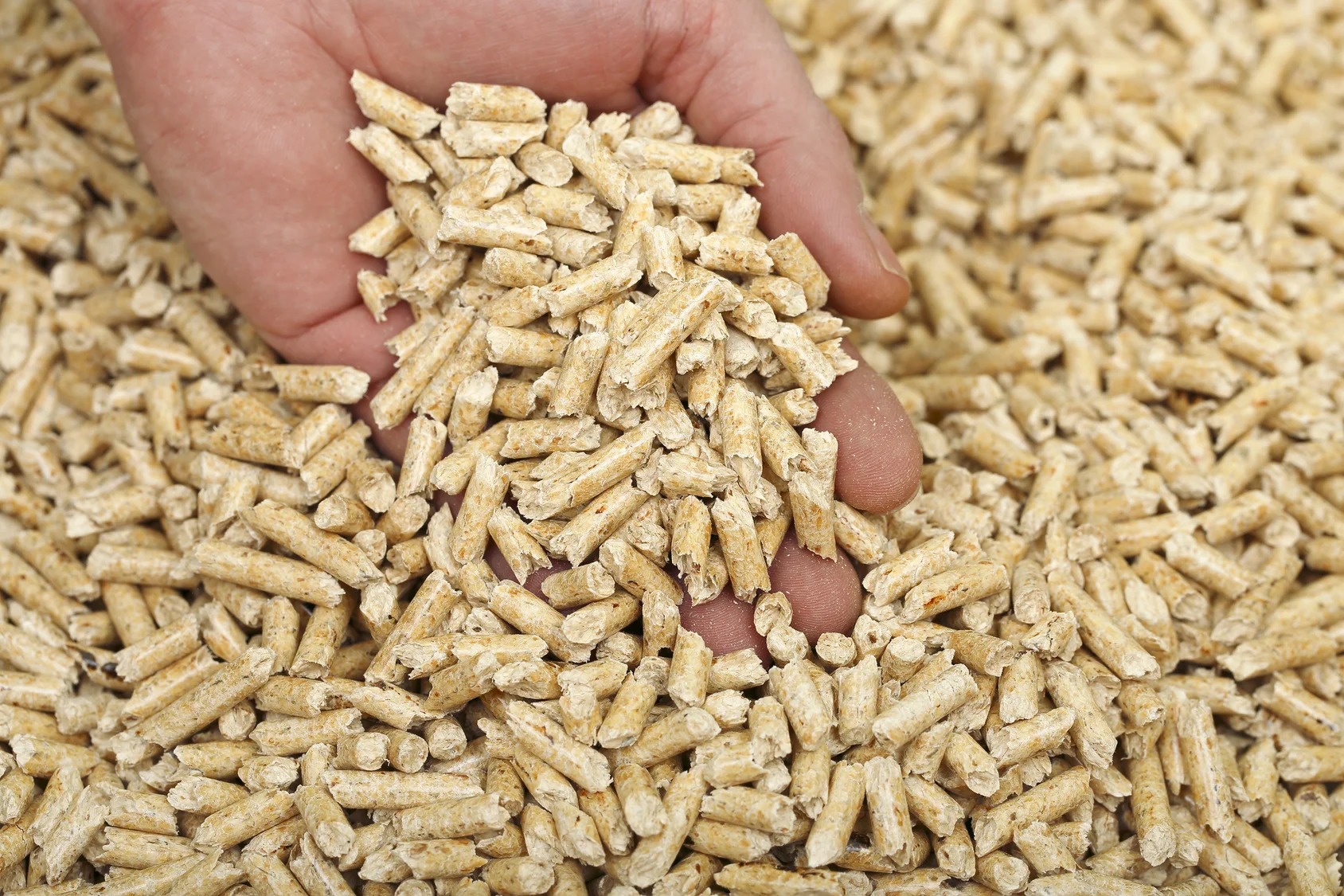 product-1-1 product-1-1