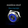 Luce ad Anello Blu