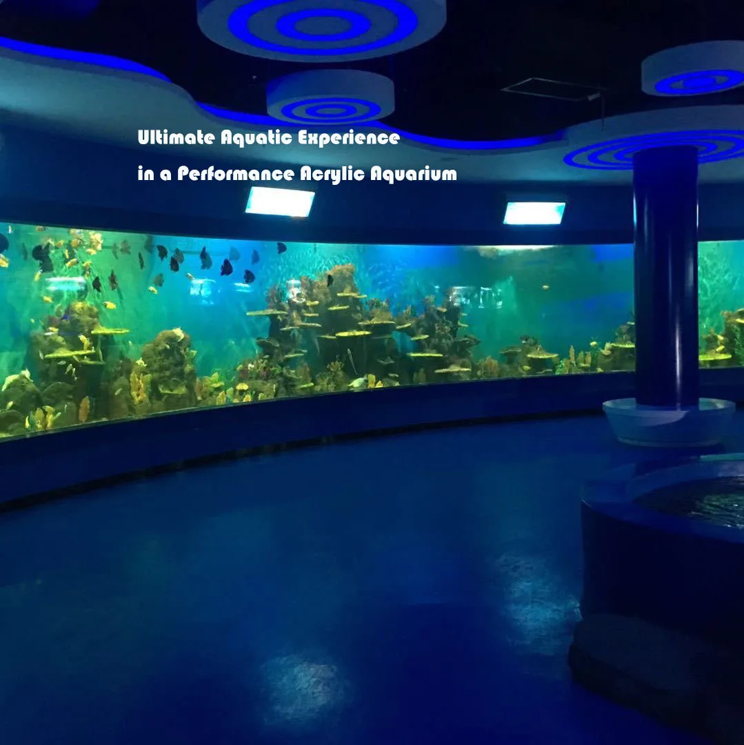 Large Acrylic Fish Tank - Eco-Friendly Rectangular Aquarium - OEM