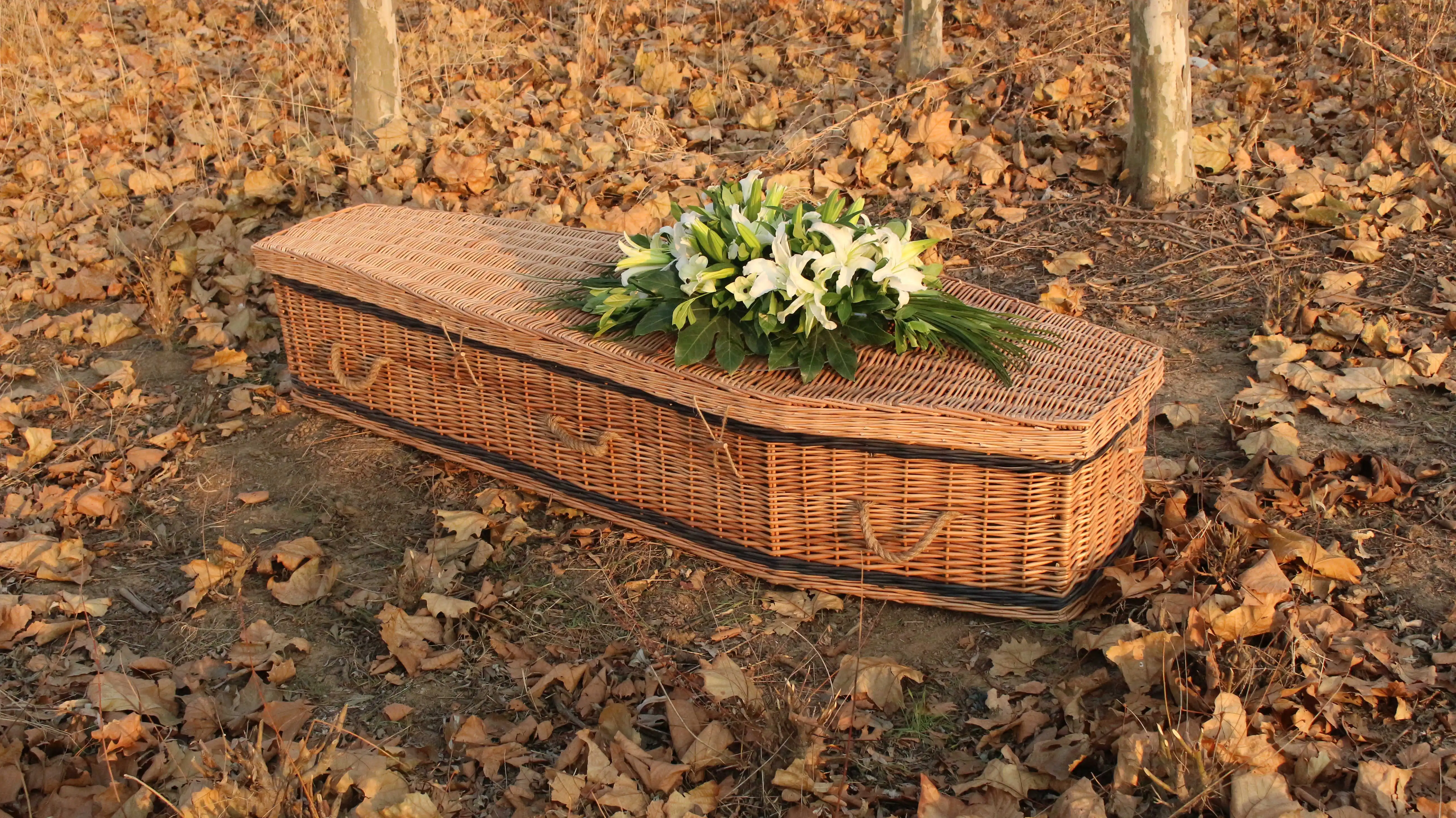 Green Funeral Casket Wicker Coffin Handicraft Coffin Buy Luxury