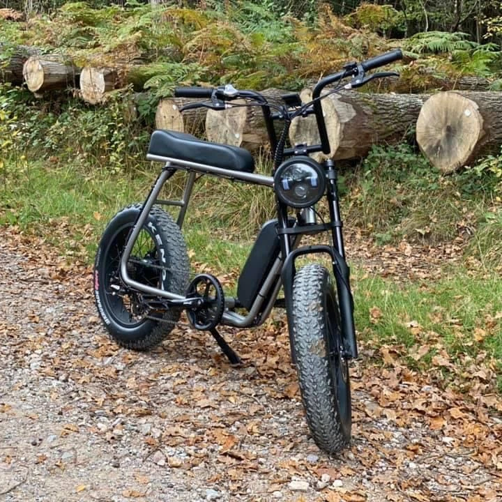 mario ebike for sale