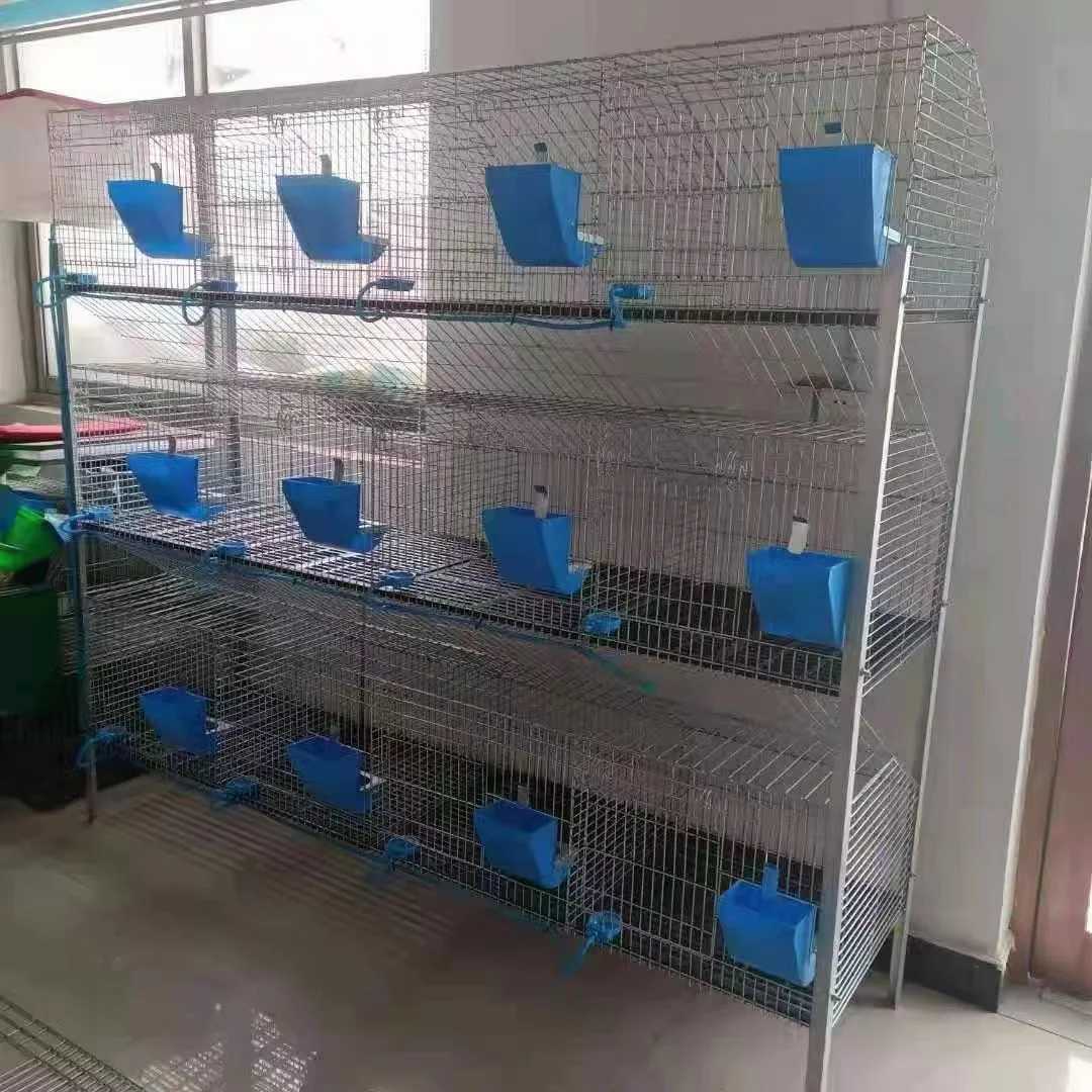 24 Cell H Type Hot Dip Galvanized Wire Mesh Indoor Rabbit Cage Layer Automatic Rabbit Cage