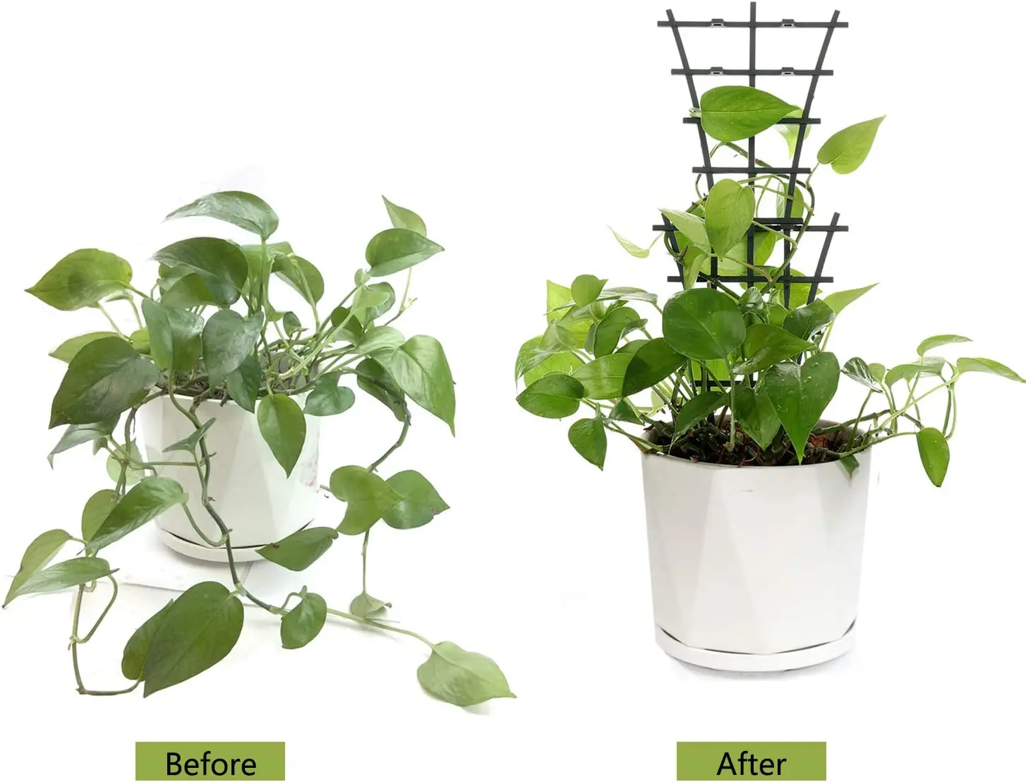 Extendable Mini Plastic Garden Plant Climbing Screen Plant Support