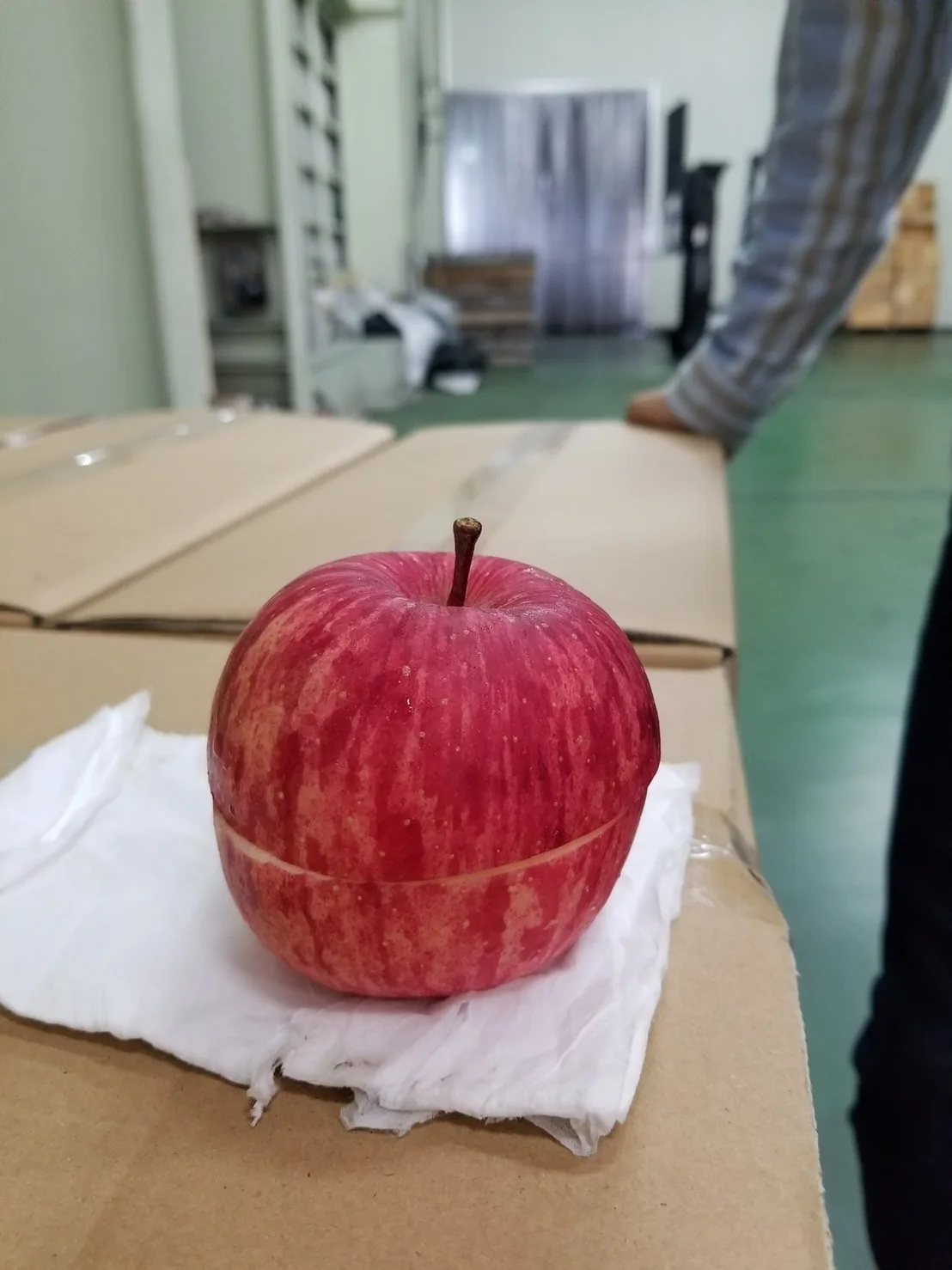 High Quality Safe Food Flavor Fruits Vegetable Apple Fruit Price Buy