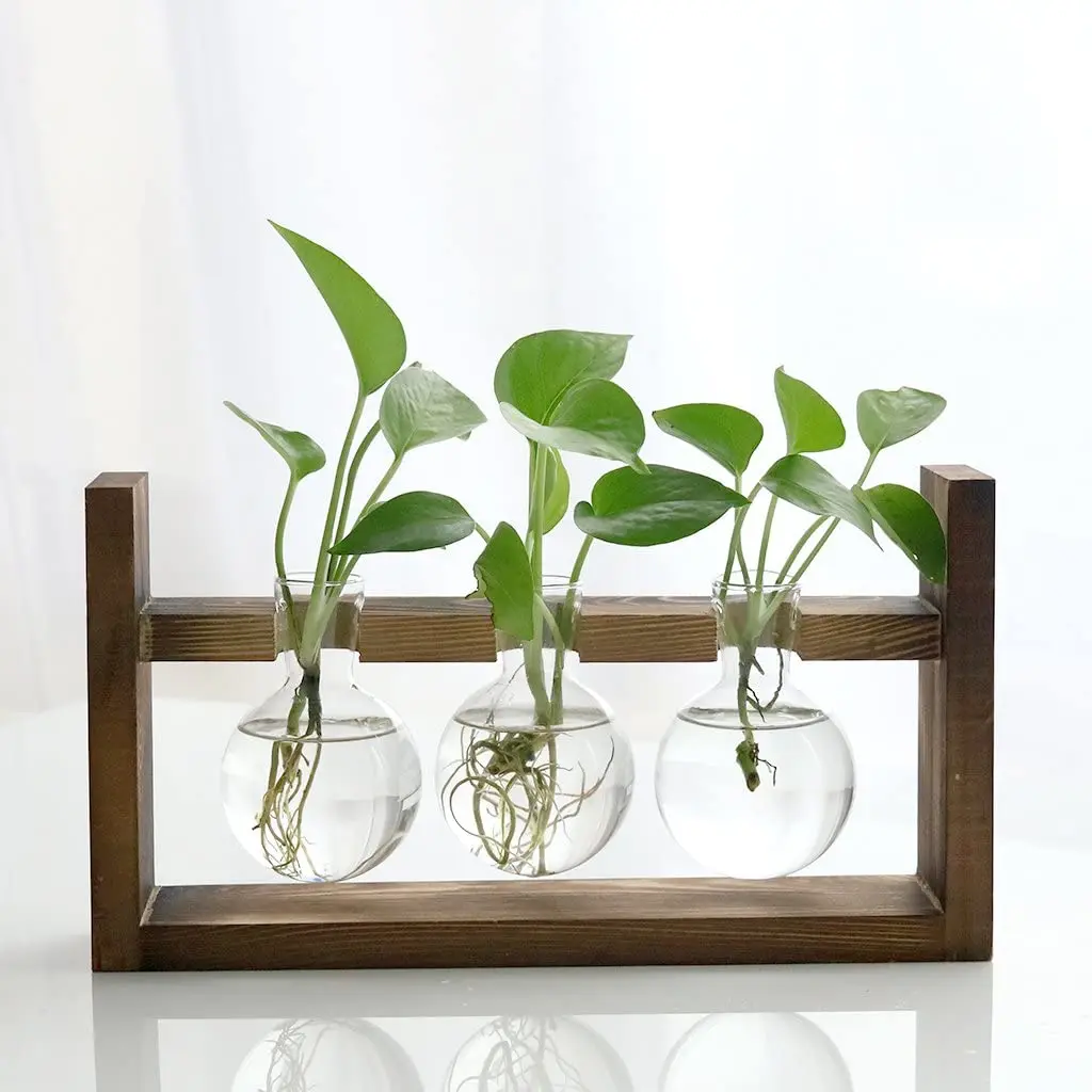 Ticlooc Wall Hanging Glass Terrarium Desktop Glass Planter Propagation Station Containers with 5 Test Tubes in Wood Frame Holder for Hydroponics Plants Cuttings 