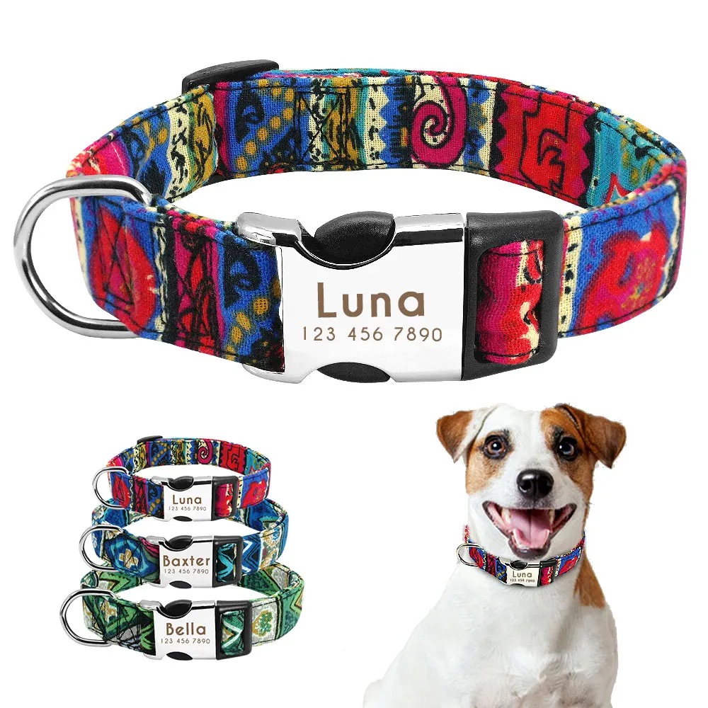 custom pitbull collars