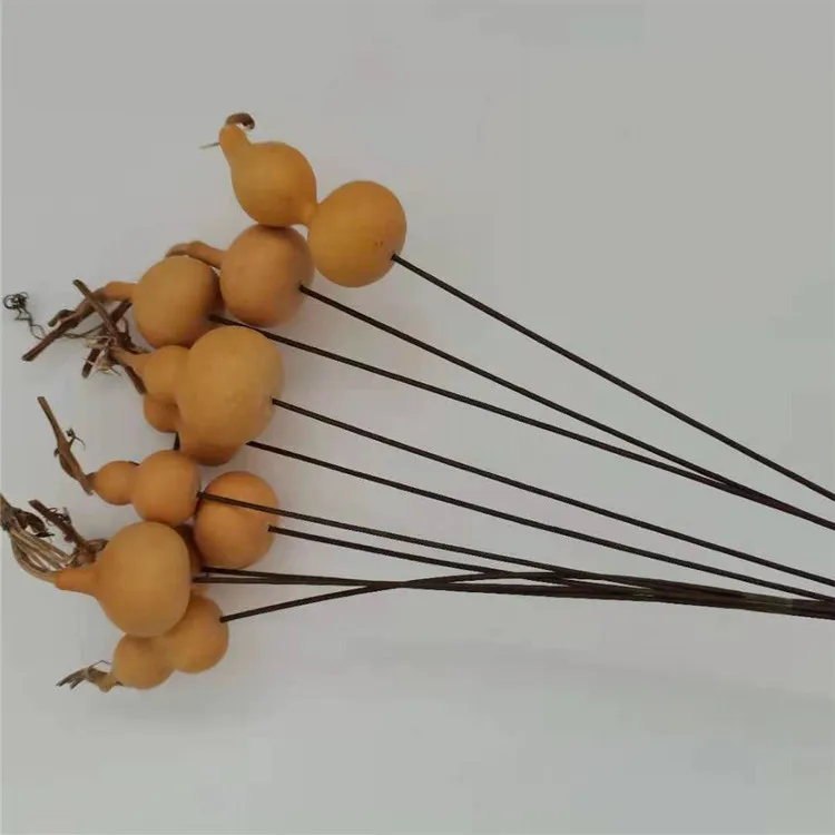 DFS51 Splicing Gourd High Quality INS Popular Natural Dried Flowers Calabash Gourd & Lagenaria Siceraria for Home Decor