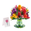 Tulipano