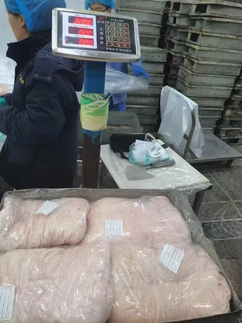 Kvalitní mražený halalový jehněčí tuk z ocasu k dispozici, mražený jehněčí tuk z ocasu na prodej