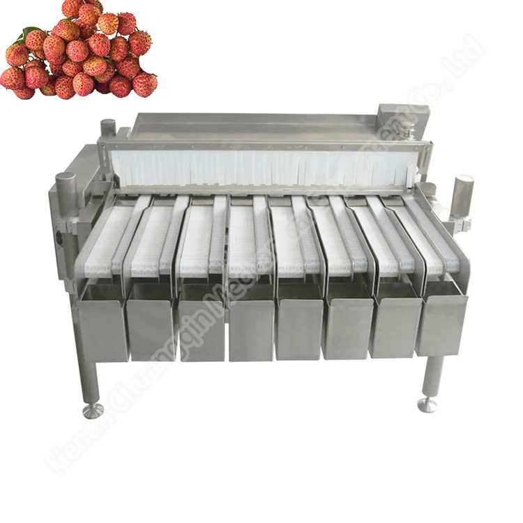 Blueberry Sorter Processing Machines Multihead Weigher Blueberry Filling Machine